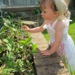 Toddler, Little White Apron..